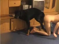 Horny black dog likes having intercourse with its brazen mistress